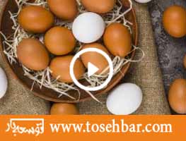 آشپزی خلاقانه با تخم مرغ
